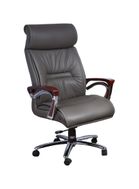Director Chair